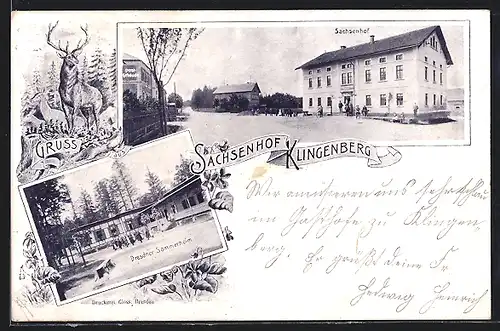 AK Klingenberg / Sachsen, Gasthaus Sachsenhof, Dresdner Sommerheim