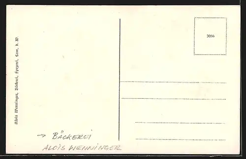 AK Lam /bayr. Wald, Bäckerei und Kolonialwaren-Handlung Alois Wenninger, Panorama