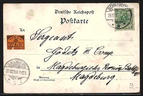 Lithographie Schkeuditz, Siegessäule 1870 /71, Rathaus, Ortsansicht aus der Vogelschau