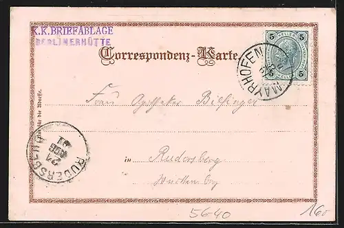 Lithographie Mayrhofen, die Berliner Hütte in den Bergen, Edelweiss