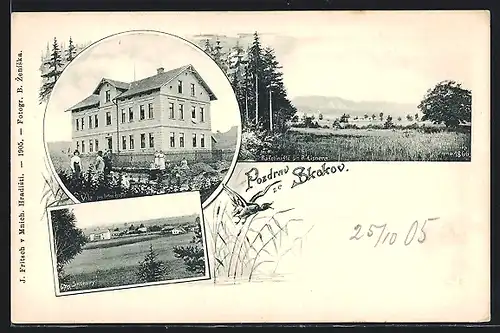 AK Zdar-Skokovy, Vila, Panorama