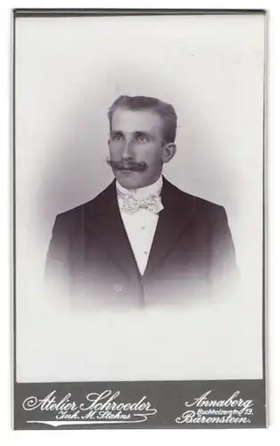 Fotografie M. Stahns, Annaberg, Buchholzerstr. 13, Eleganter Herr mit Schnauzbart