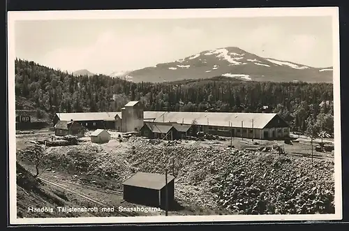 AK Handöls, Täljistensbrott med Snasahögarna