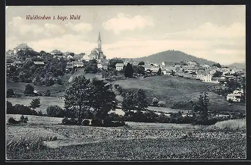 AK Waldkirchen / Bayrischer Wald, Ortsansicht mit Kirche