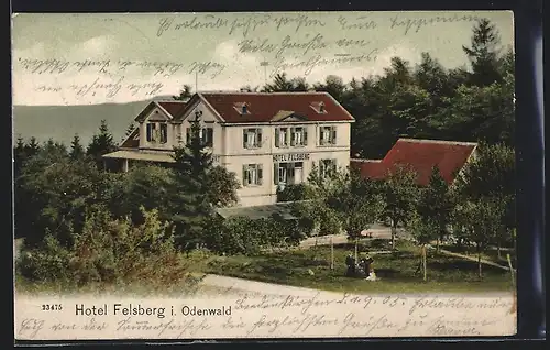 AK Reichenbach i. Odenwald, Blick auf das Hotel Felsberg