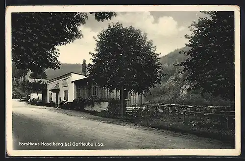 AK Gottleuba, Strassenpartie am Restaurant Forsthaus Haselberg