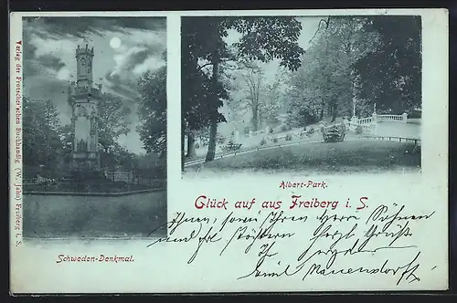 Mondschein-AK Freiberg i. S., Schweden-Denkmal und Albert-Park