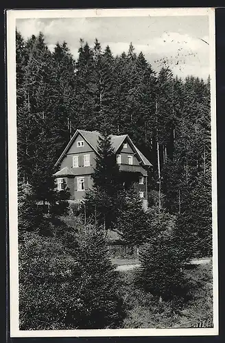 AK Kipsdorf, Jugendherberge mit Strasse und Wald