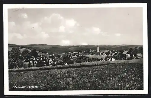 AK Eibenstock i. Erzgeb., Teilansicht mit Kirche