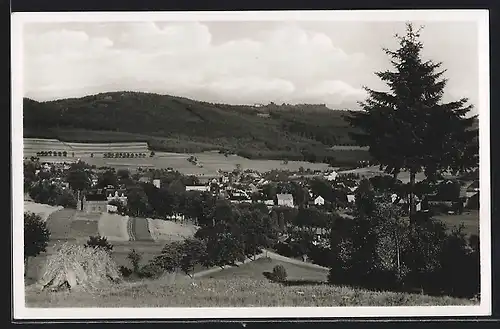 AK Erlbach i. Vogtld., Ortsansicht mit Umgebung