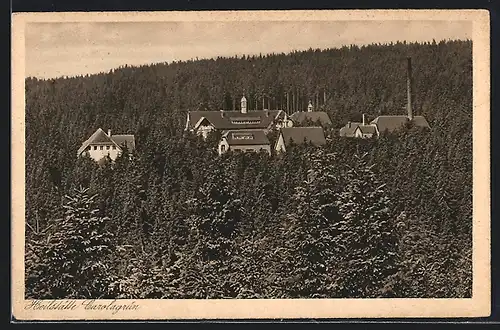 AK Carolagrün / Vogtl., Blick auf die Heilstätte