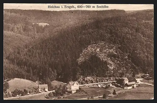 AK Holzhau /Erzg., Teilansicht mit Wald aus der Vogelschau