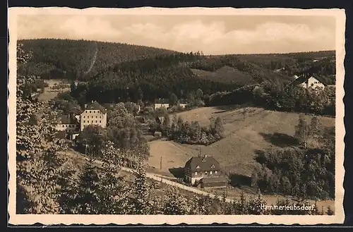 AK Hammerleubsdorf, Ortsansicht aus der Vogelschau