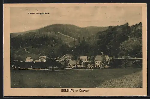 AK Holzhau /Erzg., Ortsansicht mit Richters Sommerfrische