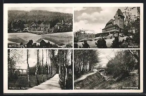 AK Hohenstein-Ernstthal, Berggasthaus zur Bismarckhöhle, Knüppelbrücke