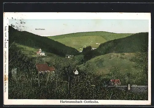AK Hartmannsbach-Gottleuba, Ortsansicht mit Waldfrieden