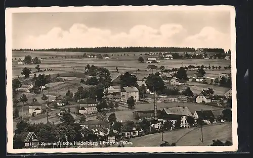 AK Heidelberg /Erzg., Totalansicht aus der Vogelschau