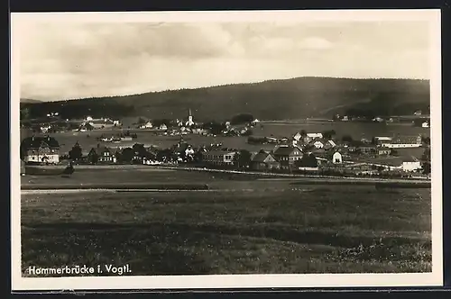AK Hammerbrücke i. V., Gesamtansicht von einem Feld aus