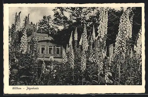 AK Wilthen, Gasthaus Jägerhaus, Gartenpartie