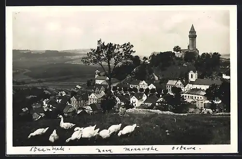 AK Stramberk, Ortsansicht mit Enten auf einer Wiese