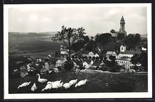 AK Stramberk, Ortspartie mit Gänsen