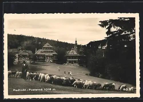 AK Radhost-Pustevne, Ortspartie und Hirte mit Schafen