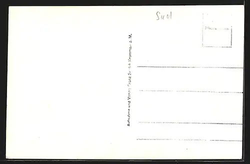 AK Prachatitz /Böhmerwald, Gesamtansicht mit Berg aus der Vogelschau