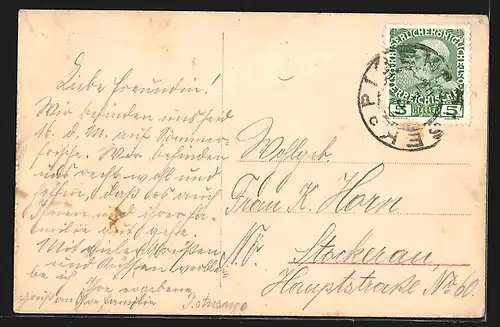 AK Písek, Celkový pohled