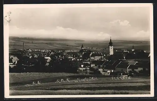 AK Nettolitz, Gesamtansicht mit Garben und Fernblick