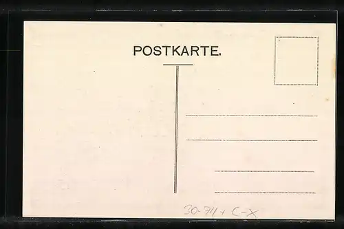 AK Aarau, Aarg. Grenzbesetzungs-Denkmal, Einweihungsfeier 1919