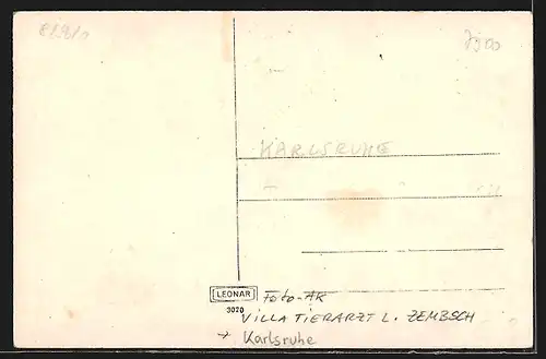 Foto-AK Karlsruhe, Villa Tierarzt L. Zembsch