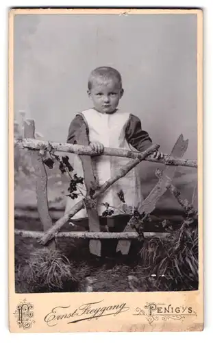 Fotografie Ernst Freygang, Penig /Sa., Brückenstrasse, Kleines Kind im Kleidchen vor Bergkulisse