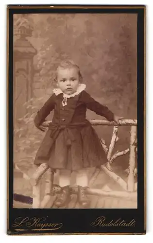 Fotografie L. Kaysser, Rudolstadt, Schwarzburgerstrasse, Kleines Kind in Kleid mit Spitzenkragen vor Gartenkulisse