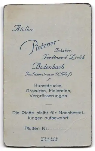 Fotografie Atelier Pietzner, Bodenbach, Teplitzerstr., Jugendliches Mädchen mit seitlich geflochtenen Haaren und Kette