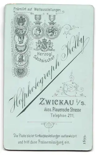 Fotografie Kolby, Zwickau i. S., äuss. Plauensche Str., Bürgerlicher Knabe mit gemusterter Fliege und Sakko