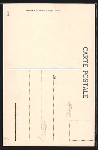 AK Tunis, Laveuse indigène dans l`oasis