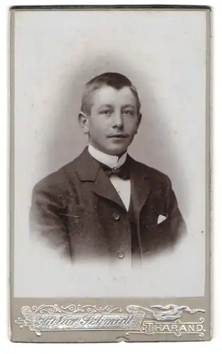 Fotografie Atelier Schmidt, Tharand, Junger Mann im schwarzen Anzug mit Fliege und seichtem Schnurrbart