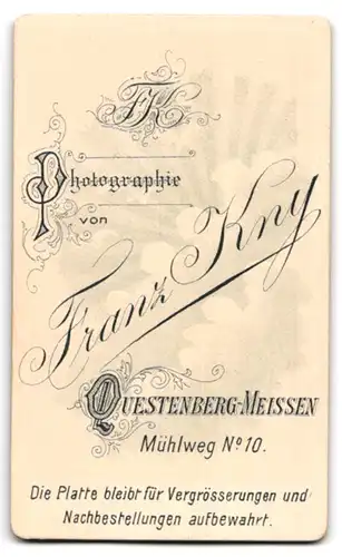 Fotografie Franz Kny, Questenberg-Meissen, Mühlweg 10, Gutbürgerlicher Bursche im Anzug mit gestreifter Krawatte