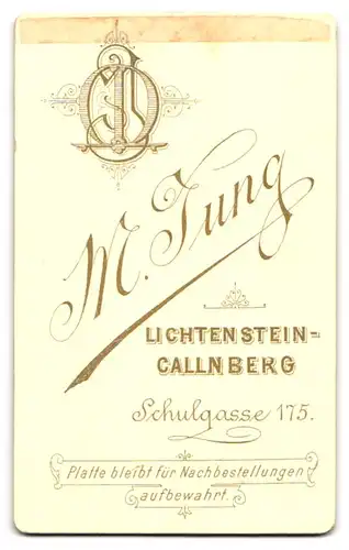 Fotografie M. Jung, Lichtenstein, Schulgasse 175, Junger Bursche im schwarzen Anzug mit Hut und überraschtem Blick