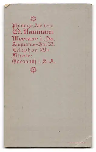 Fotografie Ed. Naumann, Meerane i. Sa., Augustus-Str. 33, Junger Mann mit einem Zwicker und einer Fliege