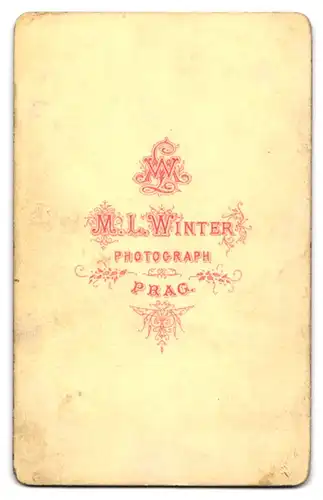 Fotografie M. L. Winter, Prag, Bürgerliche Dame mit aufwendig hochgestecktem Haar und Kreuzkette überm Zierkragen