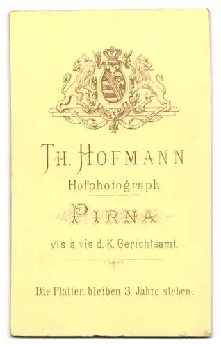 Fotografie Th. Hofmann, Pirna, Jugendlicher Knabe mit adrettem Seitenscheitel und Krawatte im Anzug