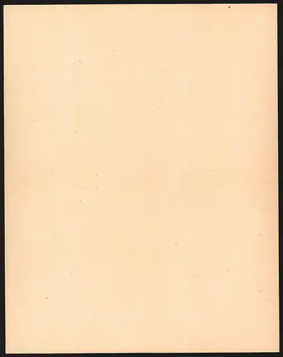 Rechnung Ziegenrück i. Th. 1908, Ziegenrücker Holzstoff- und Pappenfabrik, Werkansichten