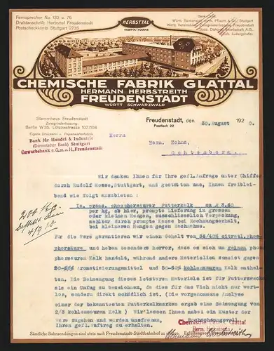 Rechnung Freudenstadt 1920, Hermann Herbstreith Chemische Fabrik Glattal, Werk aus der Vogelschau