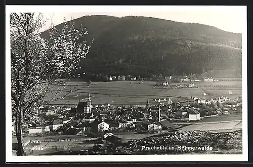 AK Prachatitz im Böhmerwalde, Panorama