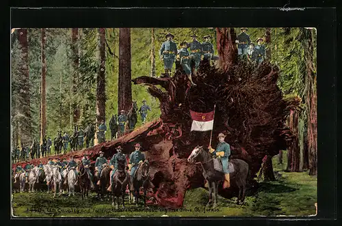 AK Mariposa, CA, Big Tree Grove, Cavalry and Fallen Monarch, Amerikanischer Kavallerie