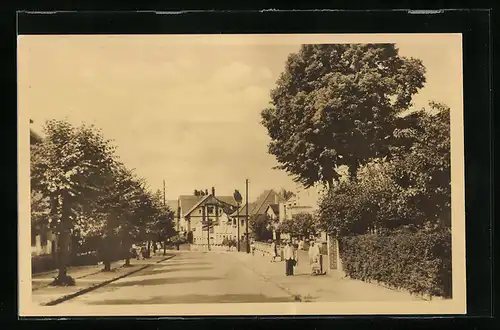 AK Lychen, In der Fürstenberger Strasse