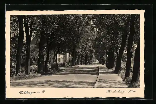 AK Dillingen / Donau, Blick in die Hindenburg-Allee