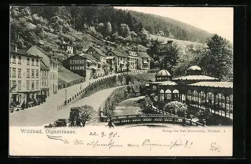 AK Wildbad / Schwarzwald, Olgastrasse mit Pavillons