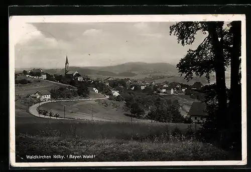 AK Waldkirchen / Niederbayern, Panoramablick von der Bergwiese